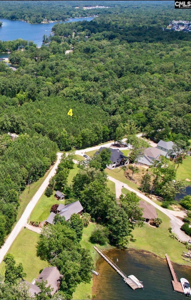 0 Three Point Rd, Chapin, SC 29036 - photo 3