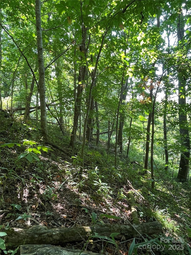 TBD Fletcher Branch Rd, Vilas, NC 28692 - photo 6