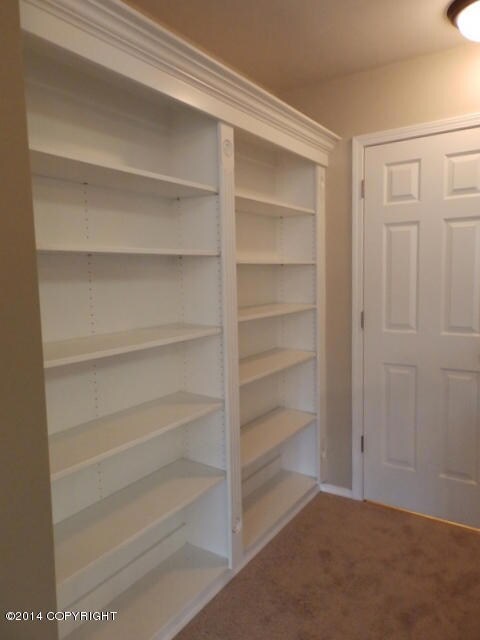 Built-in Bookshelves