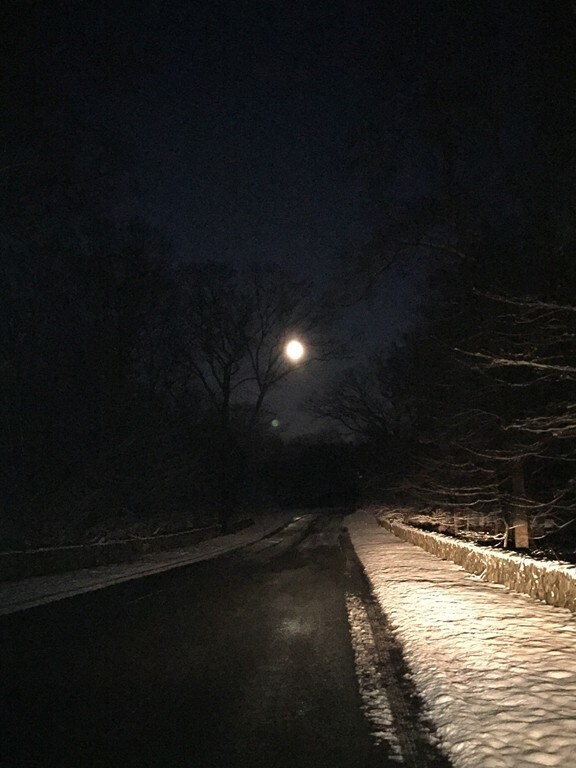 28 Medalist Dr, Rehoboth, MA 02769 - photo 4