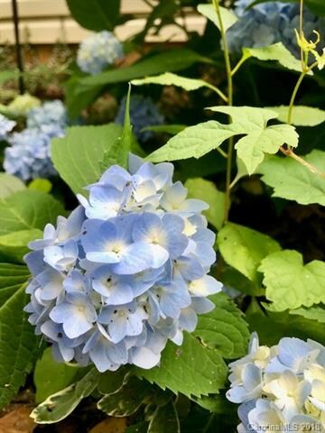 20 Candlestick Ln, Asheville, NC 28803 - photo 6