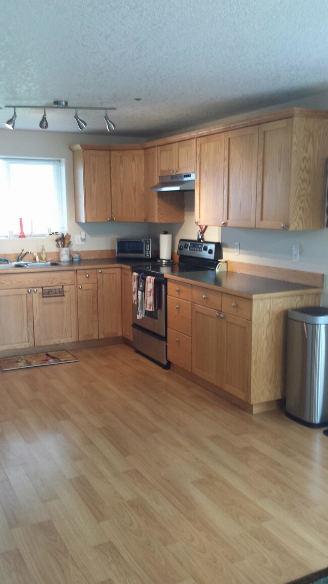 Stainless Appliances