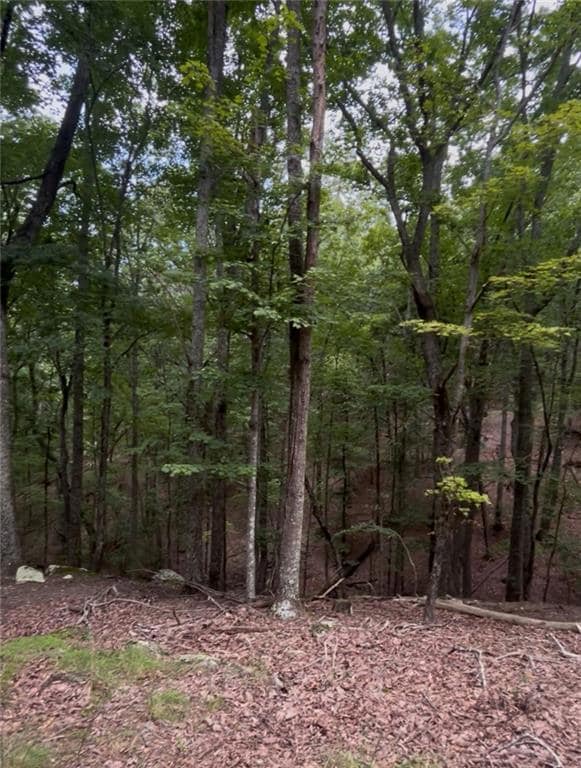 110 Siddiqui Ct, Waleska, GA 30183 - photo 4