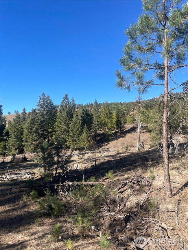 0 High Country Rd W unit NWM2438687, Tonasket, WA 98855 - photo 6