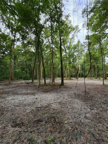 Lot 50 SW Boston Terrace, Fort White, FL 32038 - photo 3