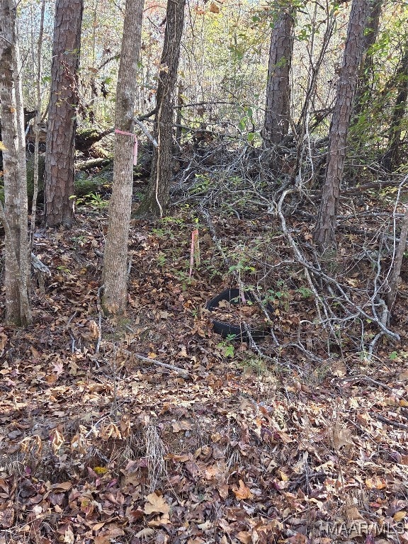 0 Parker Rd, Wetumpka, AL 360 - photo 2