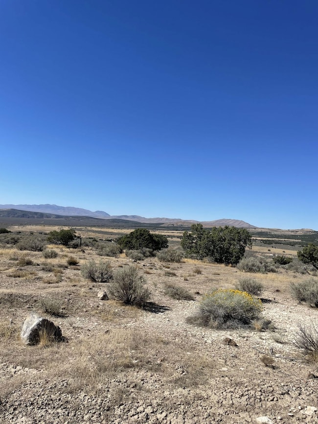 TBD Emigrant Trail, Spring Creek, NV 89815 - photo 3