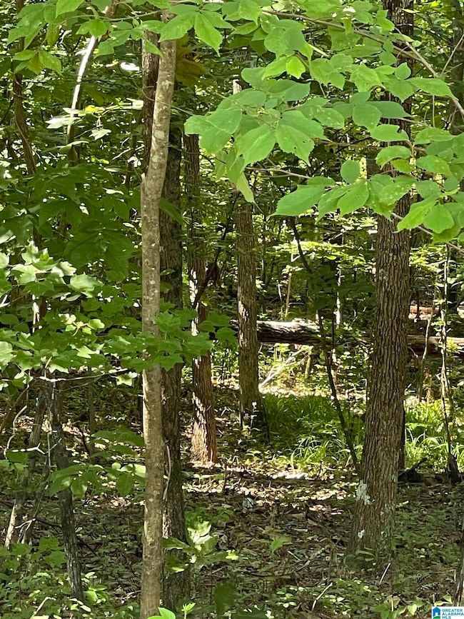 8596 Woodview Ln unit 7-21, Pinson, AL 35126 - photo 2