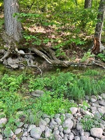 28xxx 89th Ave, Boyd, WI 54726 - photo 2