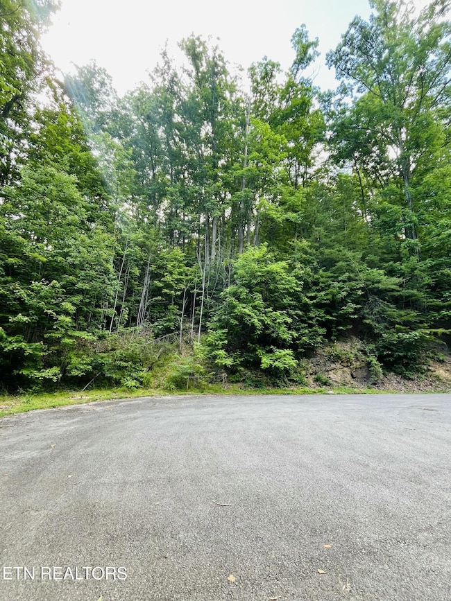 Lot 70E