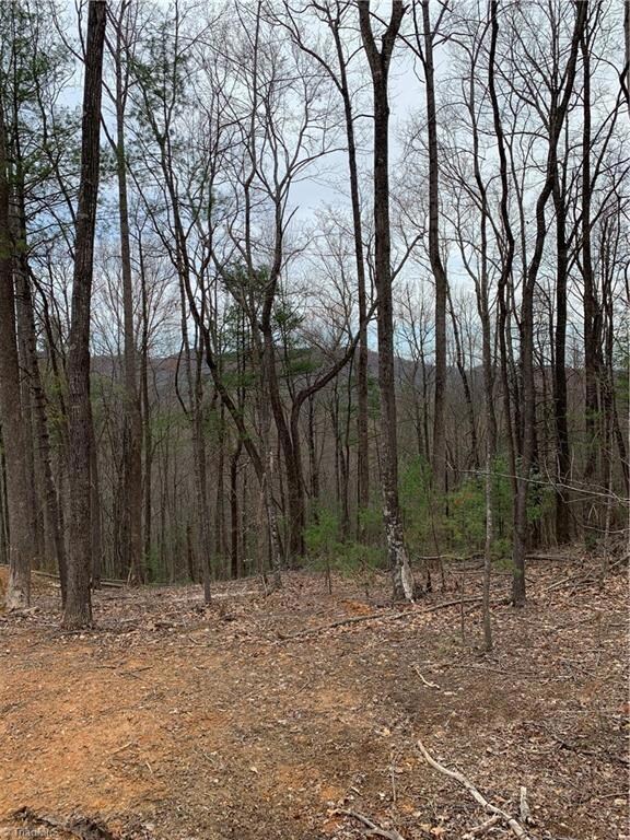 Lot 21 Falcon Ridge Ln, Ferguson, NC 28624 - photo 2