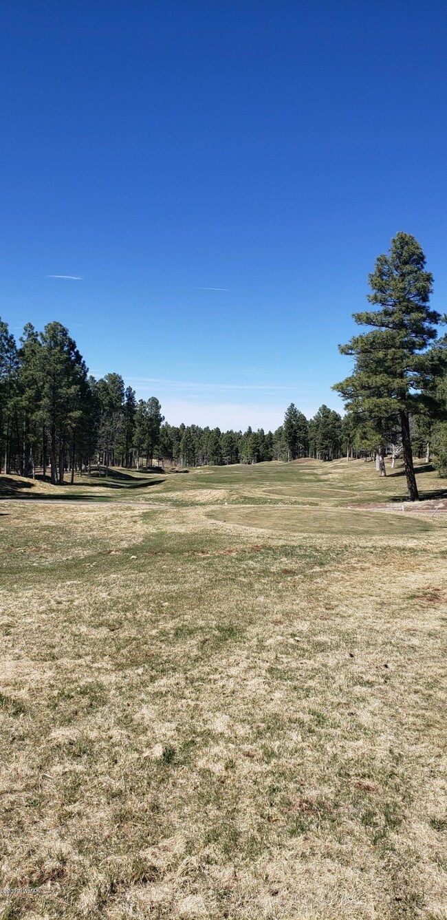 1300 S Jimson Loop