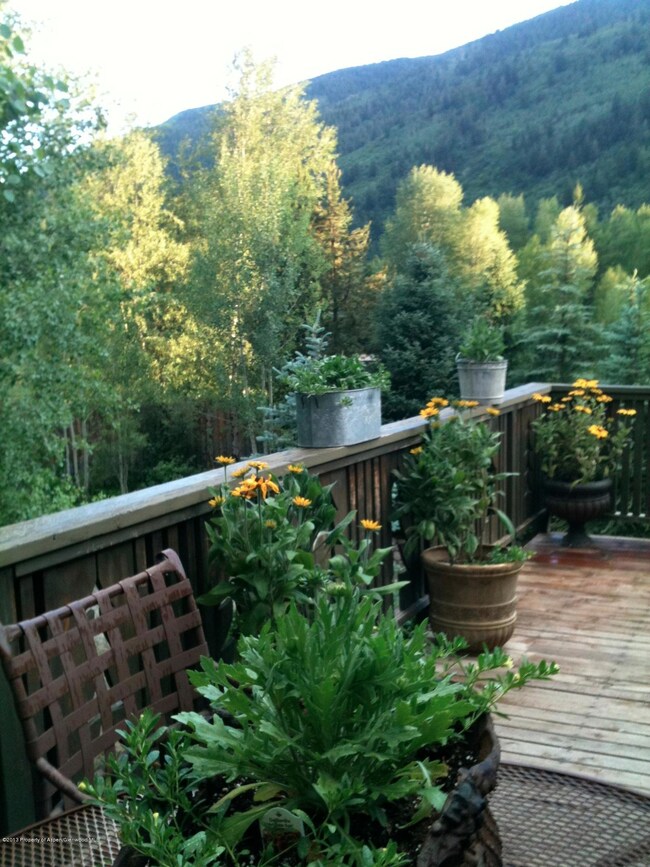 42705 Colorado 82, Aspen, CO 81611 - photo 3