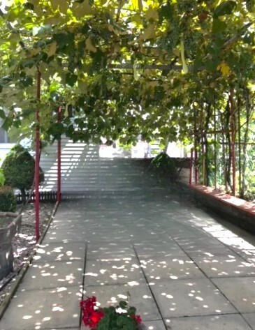 Arbor in bloom