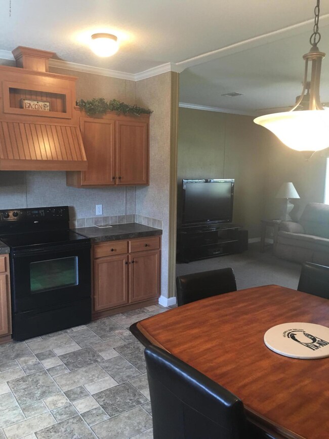 3295 Thunder Rd, Middleburg, FL 32068 - photo 5