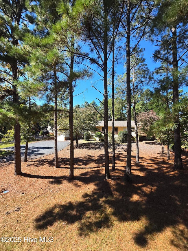 102 Thistle Ln, West End, NC 27376 - photo 5