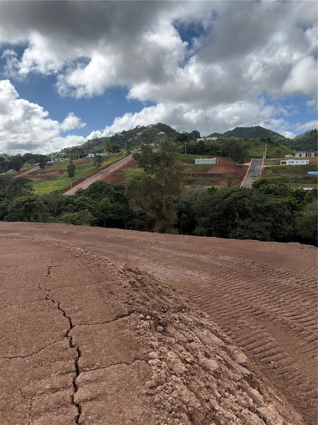 0 Carr 155 Km 31 2 Int Bo Barros unit Lote 3, Orocovis, PR 00720 - photo 4