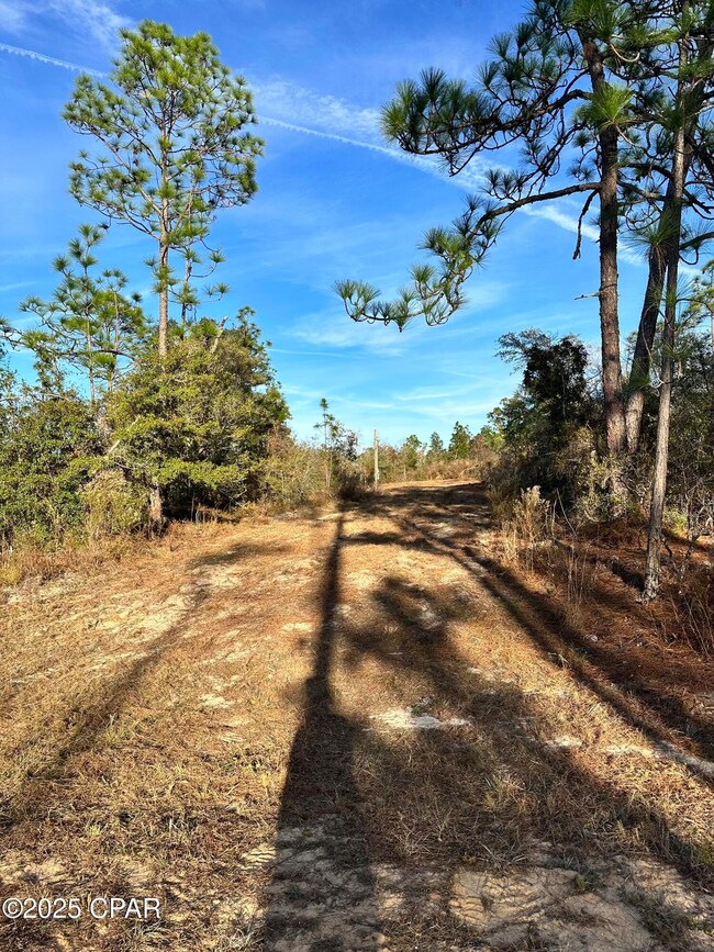 3015 Castillo Dr, Alford, FL 32420 - photo 5