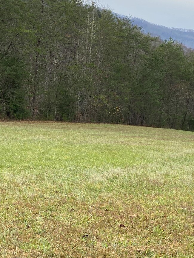 17 ac. Old Chilhowee 3 MLS1136250