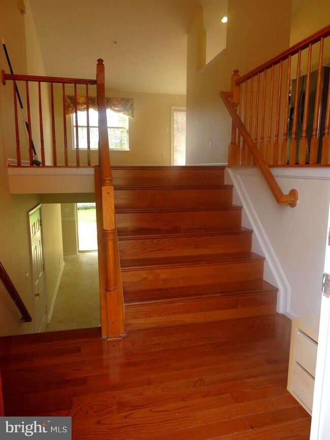 8401 Cypress St, Laurel, MD 20707 - photo 6