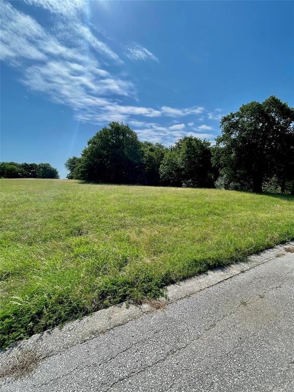 307 Dublin Cir, Gordonville, TX 76245 - photo 3