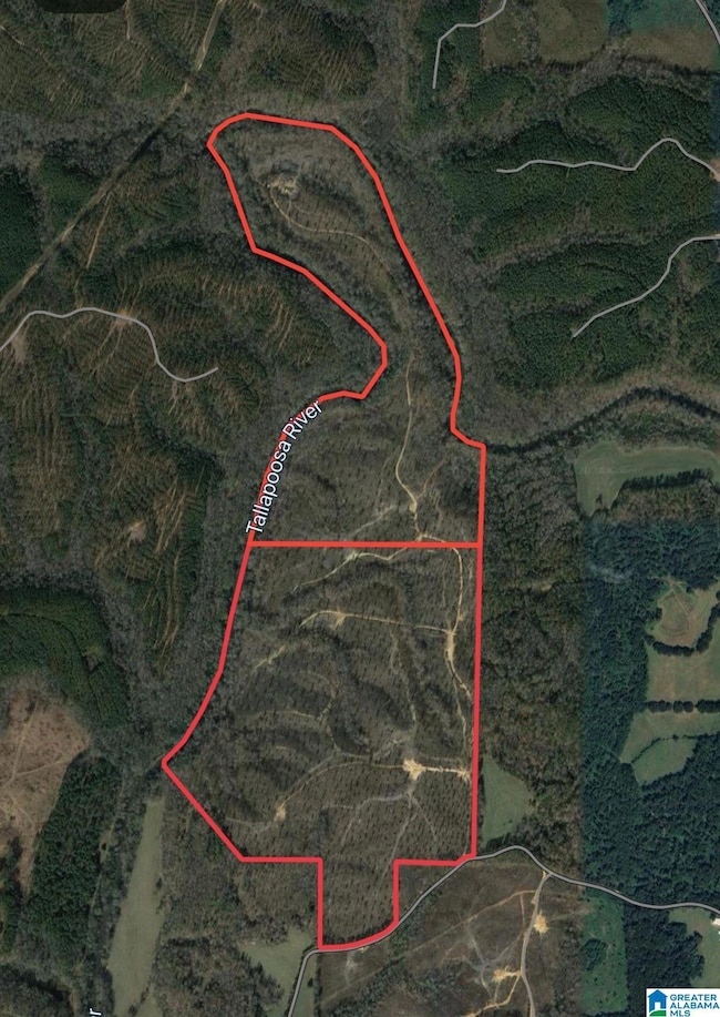 0 County Road 492 unit 1 21400533, Muscadine, AL 36269 - photo 4