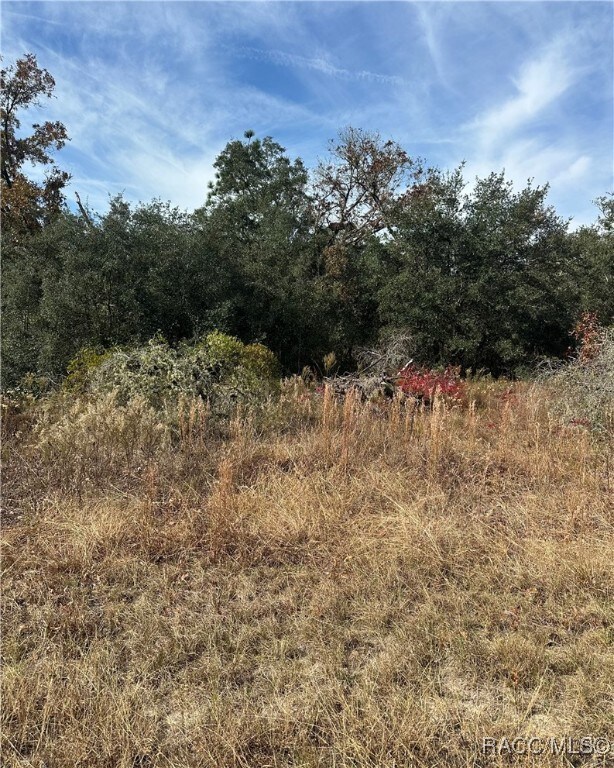 Lot 26 SE 133rd Ave, Rainbow Lakes Estates, FL 34431 - photo 4