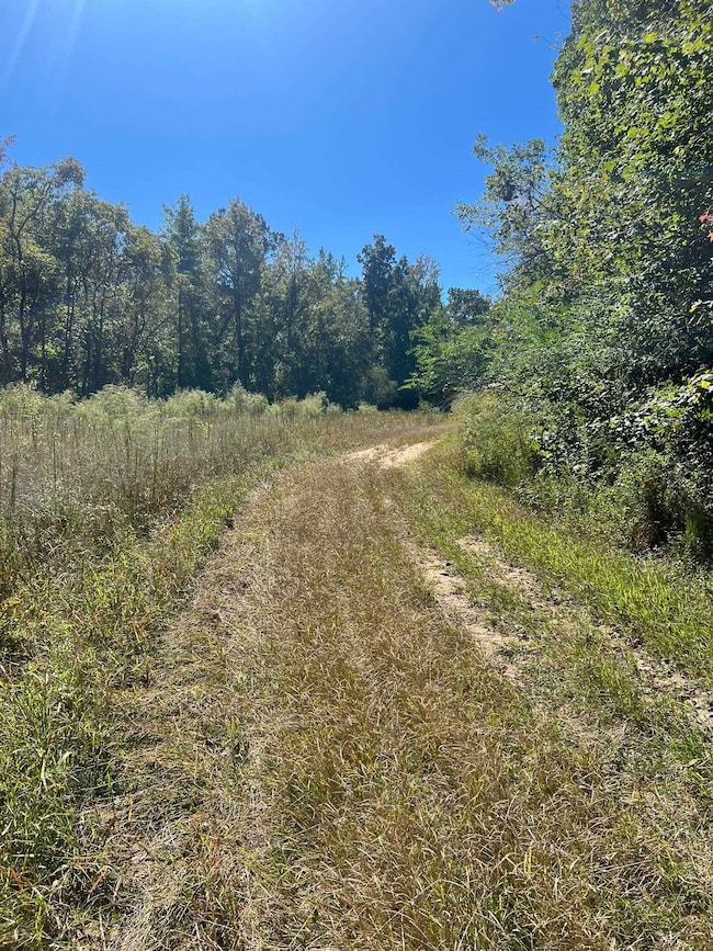 0 Walls Rd, Somerville, TN 38068 - photo 5