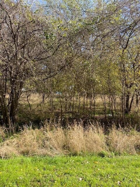 7073 Cherokee Trail, Horseshoe Bend, TX 76087 - photo 6