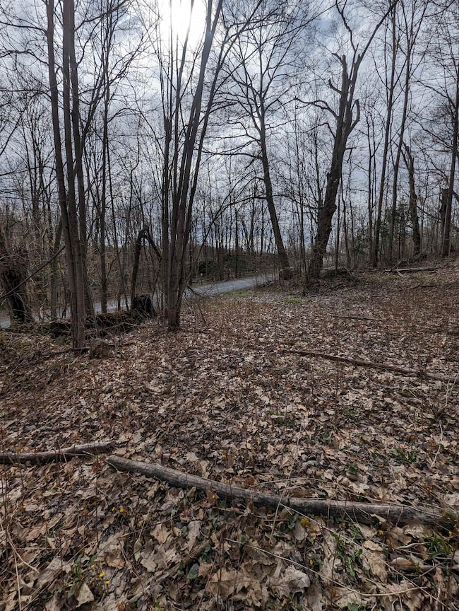 View towards mouth of driveway