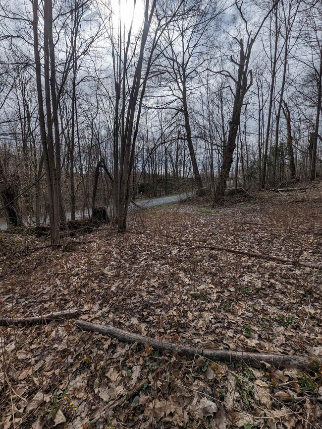 View towards mouth of driveway
