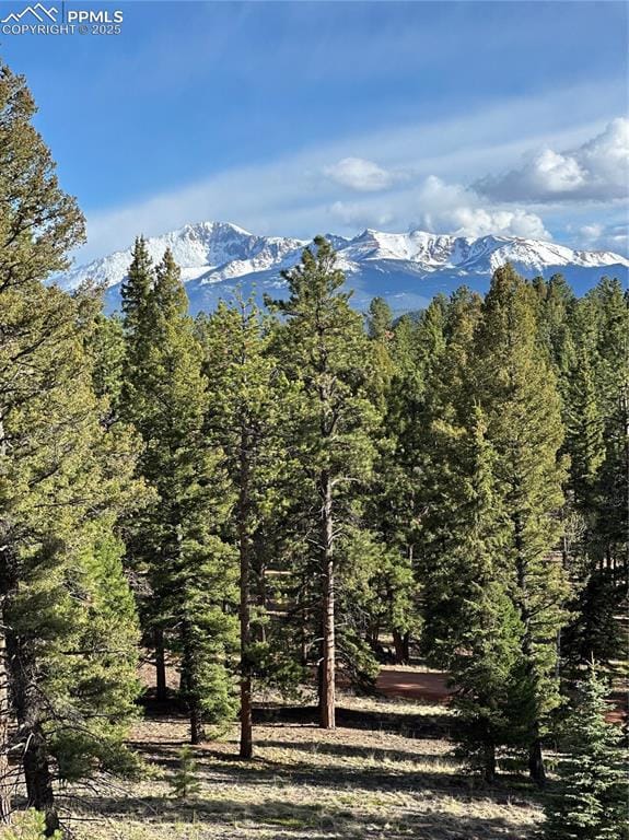 View of mountain background with a forest