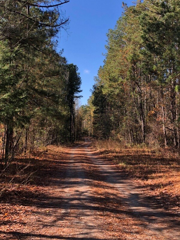Driveway to the home