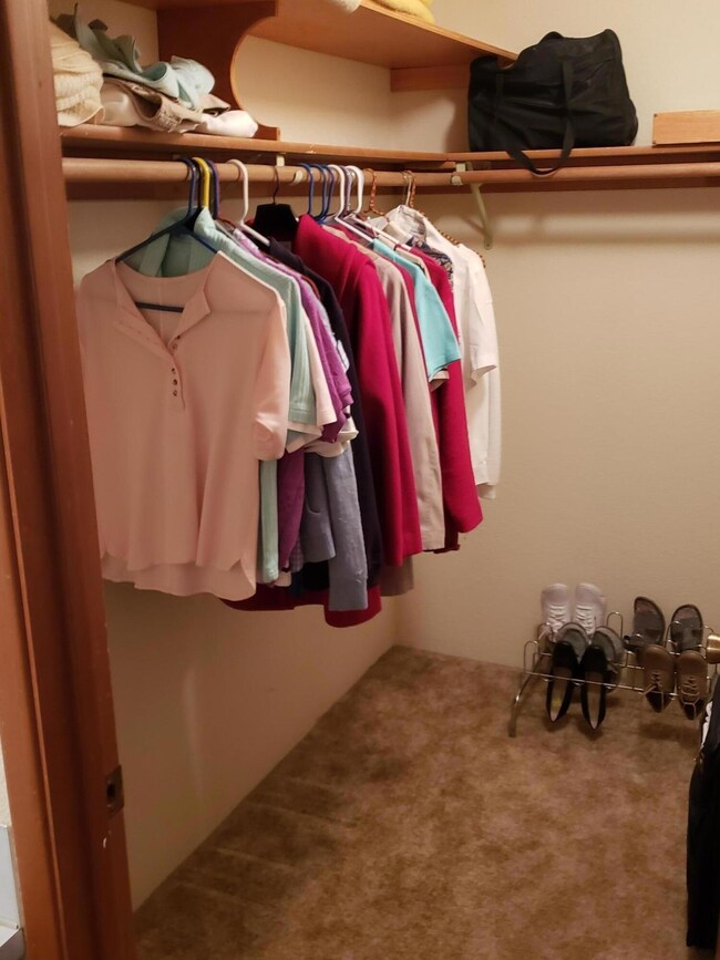 Master Walk=in Closet