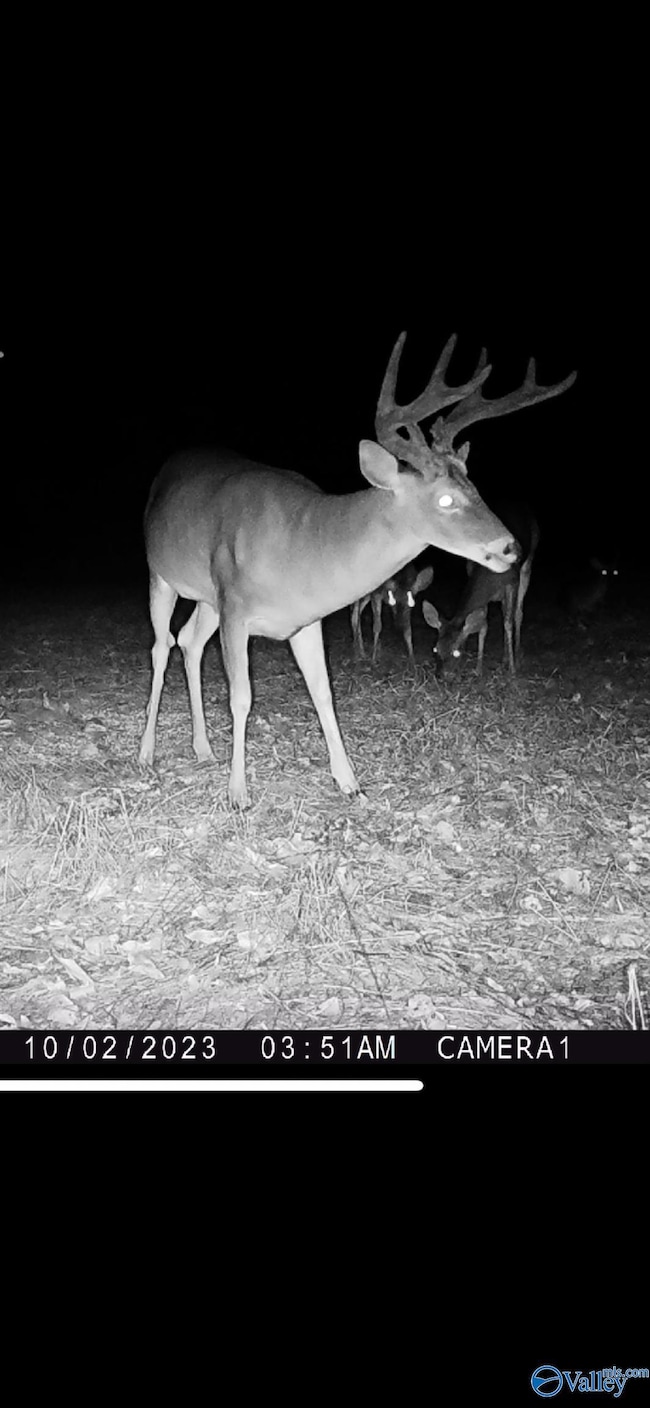 304A Riverview Dr, Grant, AL 35747 - photo 4