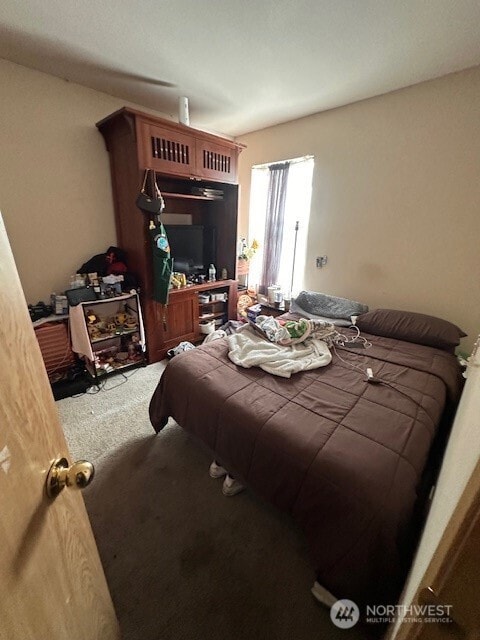 14912 99th Way SE, Yelm, WA 98597 - photo 2