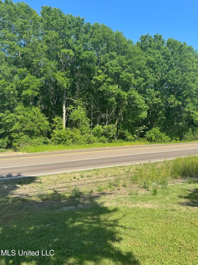0001 Old Highway 471, Brandon, MS 39042 - photo 6