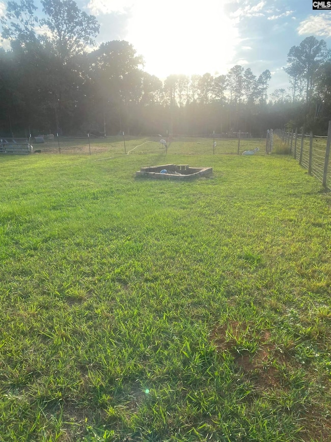 1253 Sam Koon Rd, Chapin, SC 29036 - photo 4