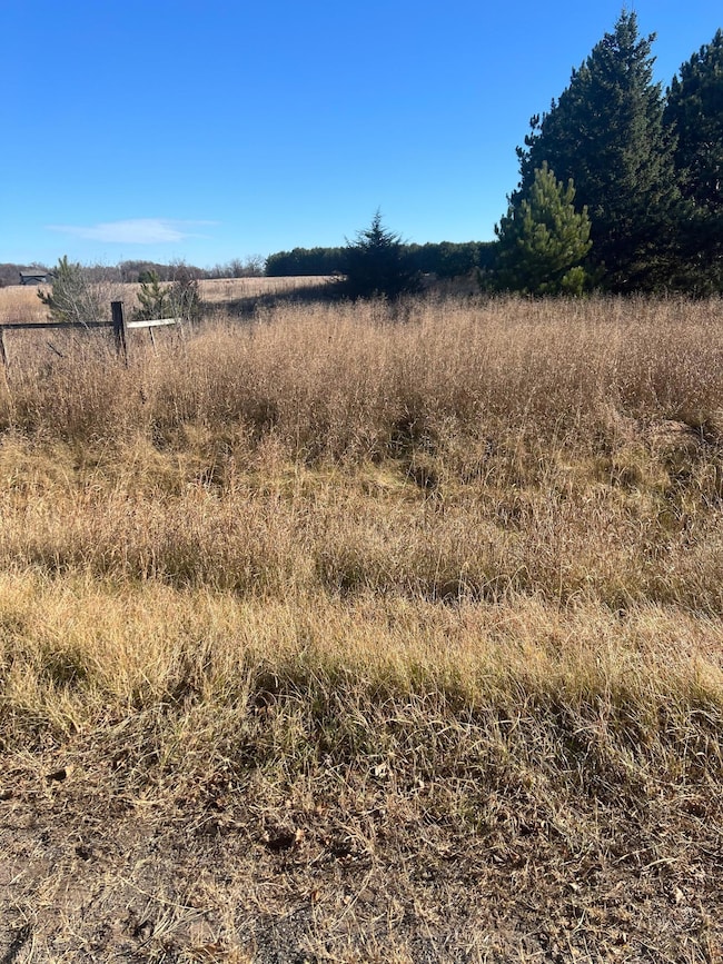 36123 Elmcrest Ave NE, North Branch, MN 55056 - photo 3