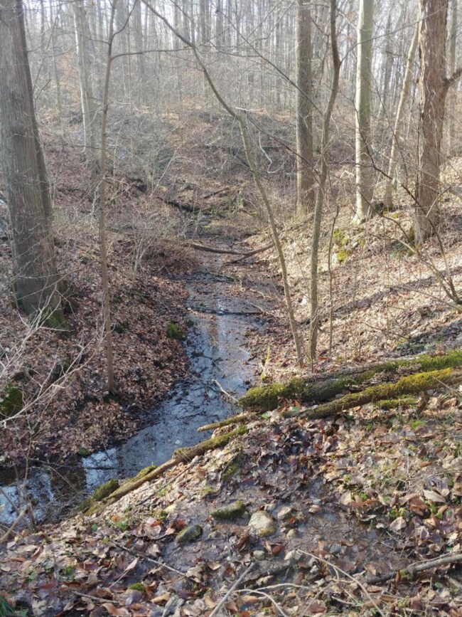 Brandt 109 Acres Photo 2