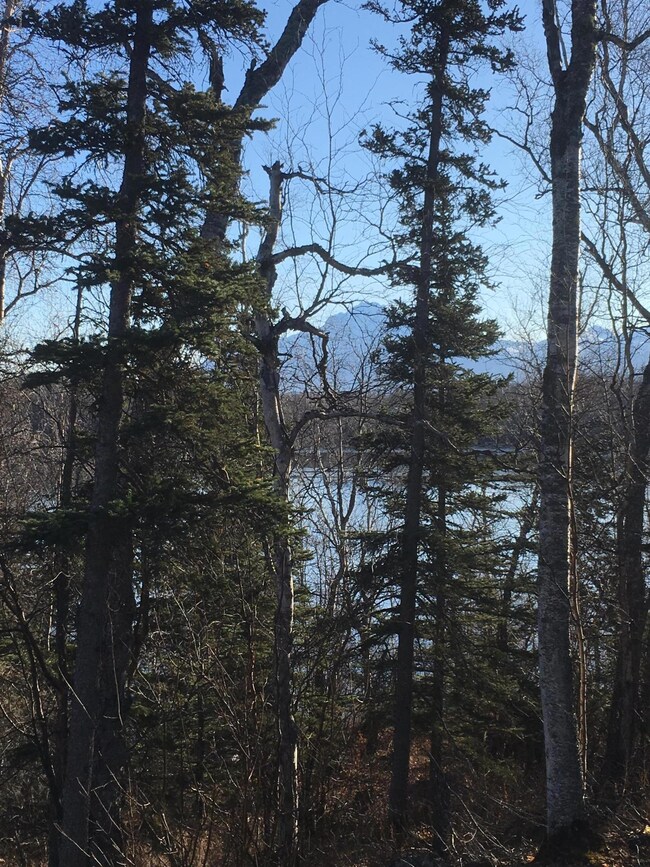 Pioneer Peak Views