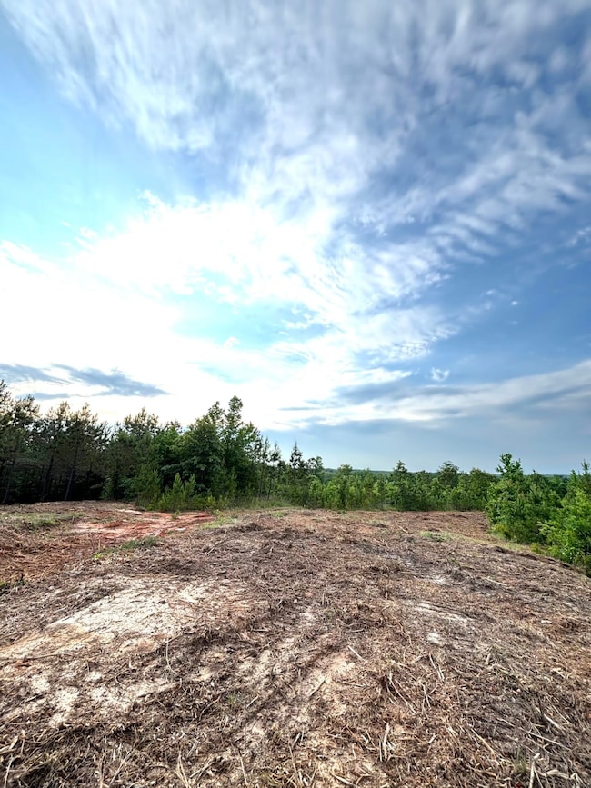 unlisted-address unit Attala County MS, Kosciusko, MS 39090 - photo 3