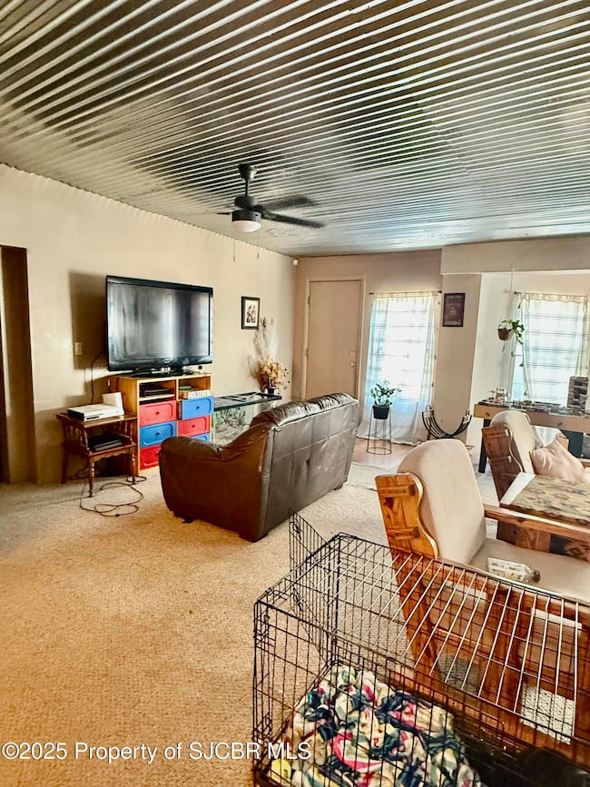 8 Road 3182, Aztec, NM 87410 - photo 5