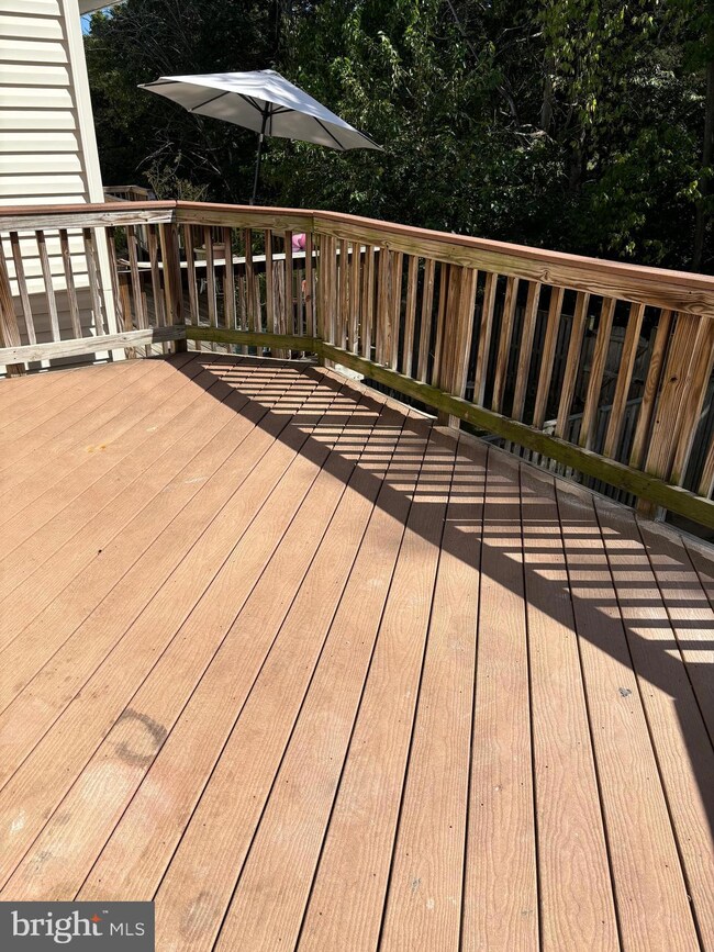 802 Pendleton Ln, Strasburg, VA 22657 - photo 7