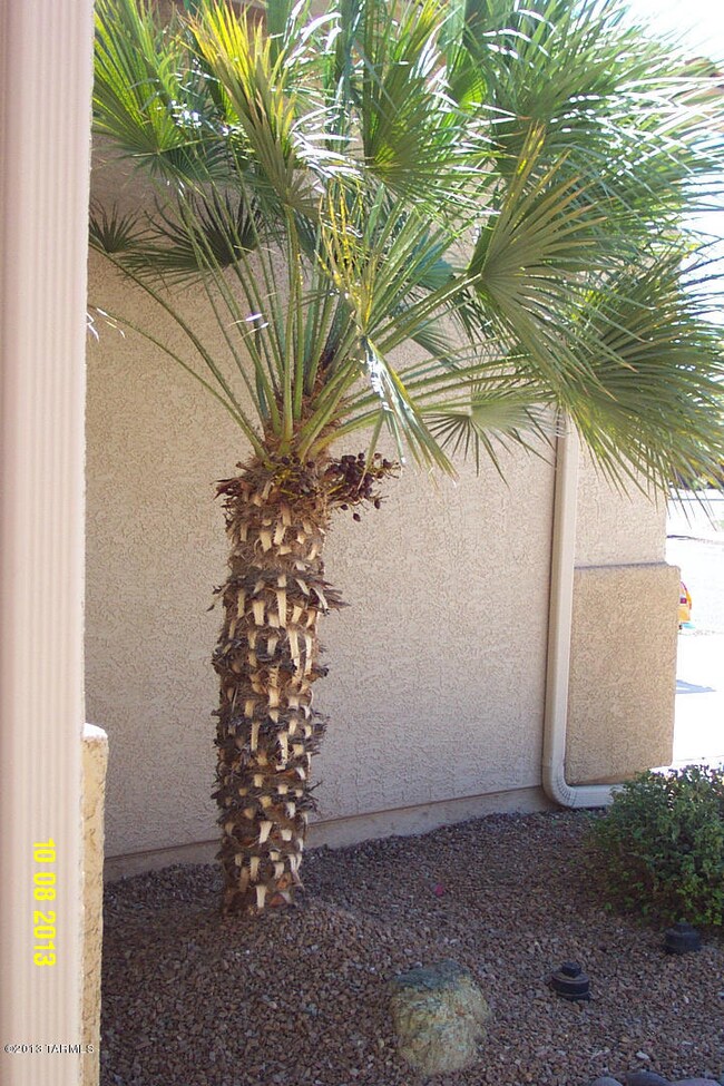 Front Entry Approach