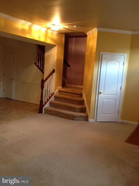 105 Featherstone Place, Frederick, MD 21702 - photo 6