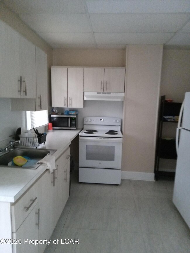 Apt. 1 Kitchen
