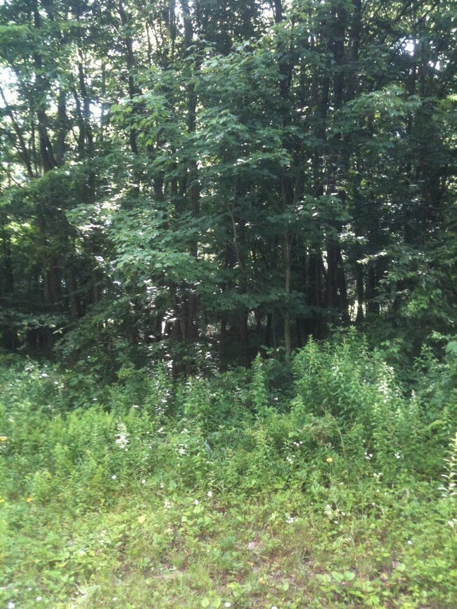 Minutes from Snowshoe Mountain
