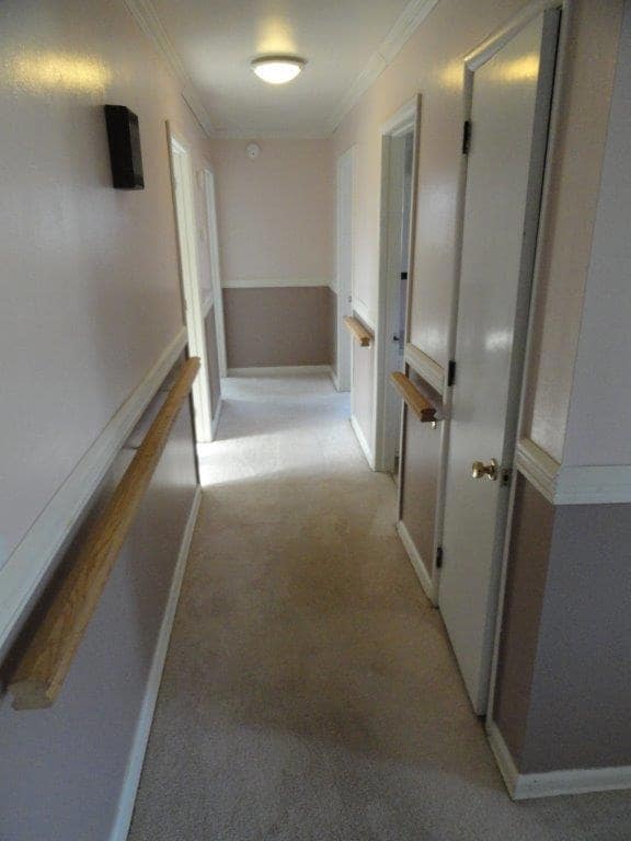 303 Rosemary Ln, Shelbyville, TN 37160 - photo 3