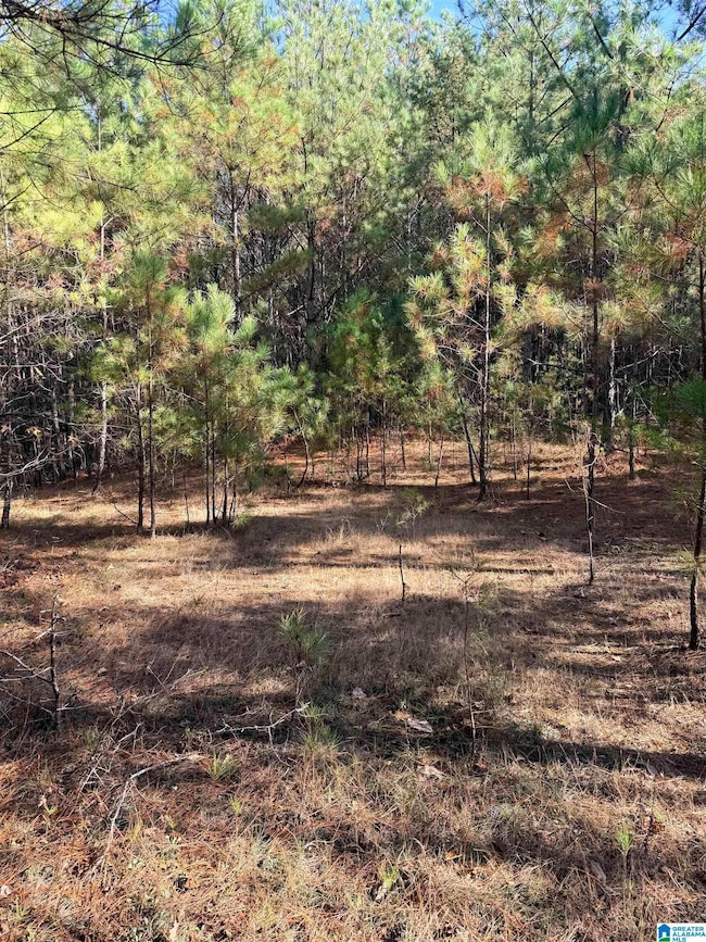 9400 Bradford Trafford Rd, Warrior, AL 35180 - photo 3